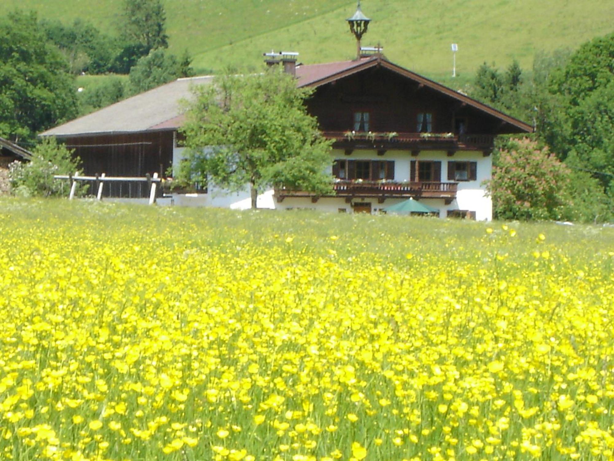 Gasthof Landgasthof Dorfstadl 3*